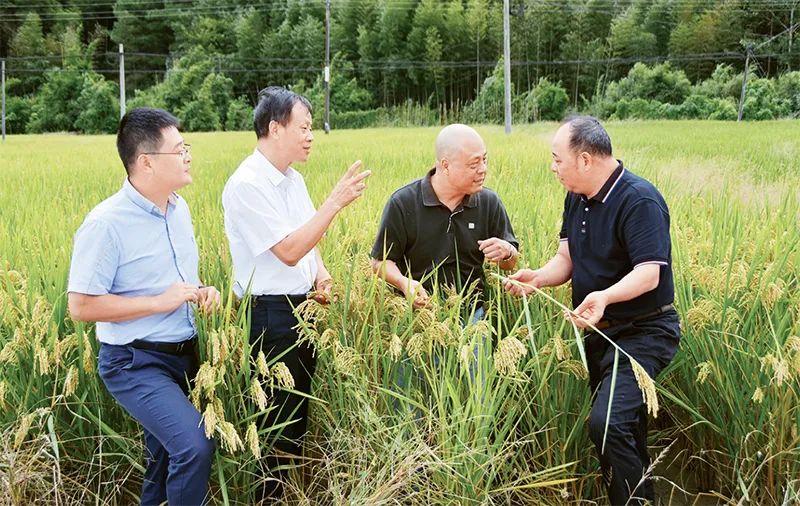 【书香政协丨委员学习（10）】深刻把握新时代人民政协职能定位新的内涵