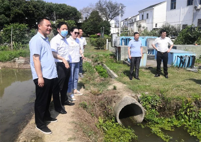 区政协副主席、党组成员朱红兴参加洛阳镇岑村村“有事好商量”协商议事活动