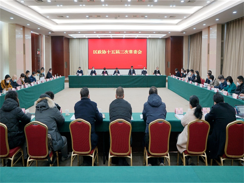 区政协召开十五届三次常委会议