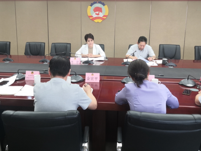 区领导朱岩、朱小平领办重点提案