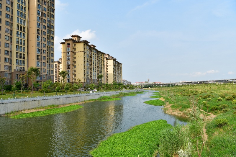 《人民政协报》刊文：《江苏武进：委员河长助力水清岸绿》