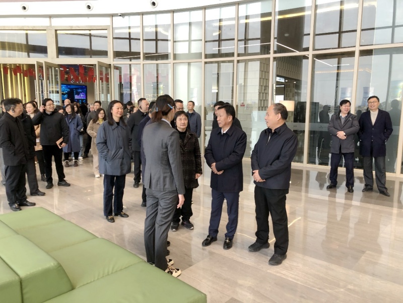 区政协开展政协委员集中视察活动