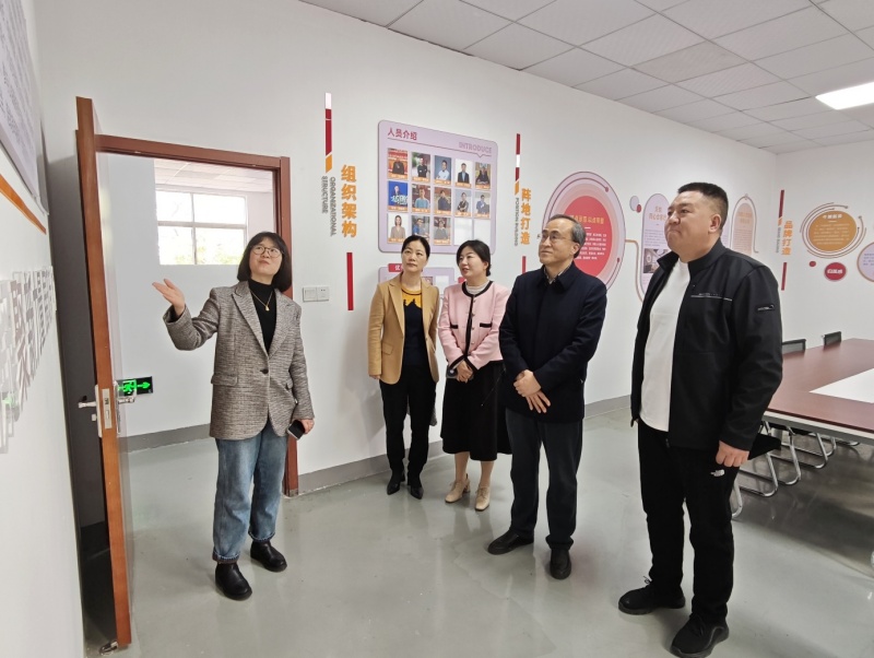 区政协党组成员、副主席徐宁赴牛塘镇开展调研