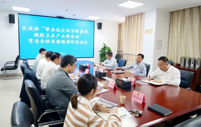 区政协召开“擘画低空经济新蓝图，赋能未来产业新高地”常委会协商课题调研座谈会